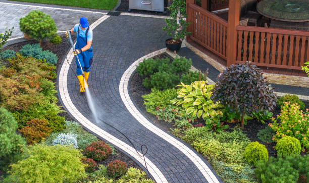 Best Best Pressure Washing Companies  in Martin, SD